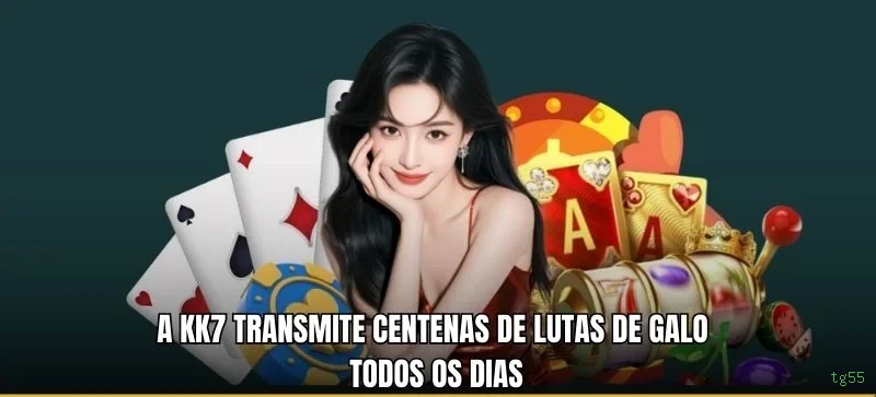 tg55 Provedores Premium